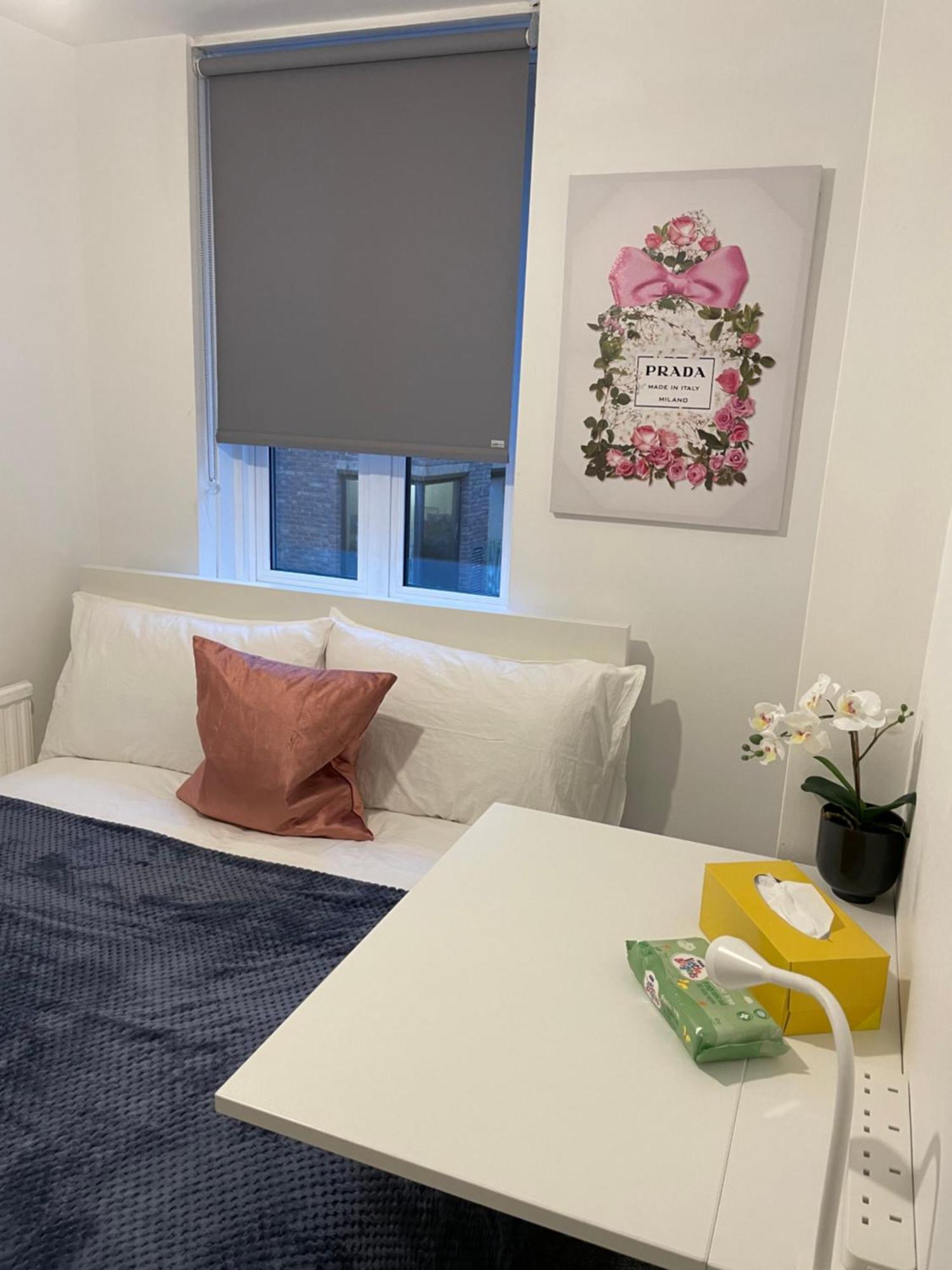 Lovely Double Rooms In Euston & Square In Central Londýn Exteriér fotografie
